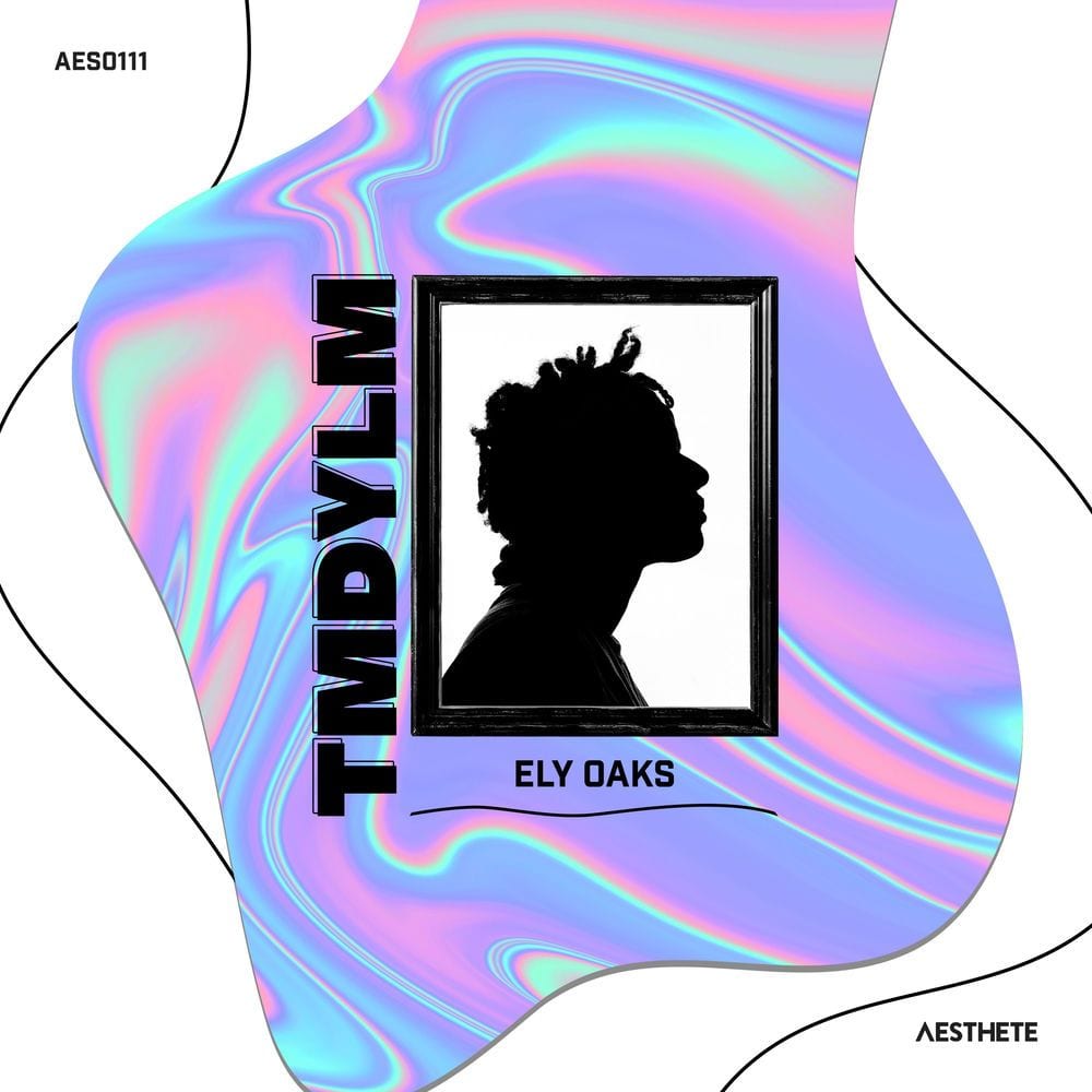 TMDYLM cover
