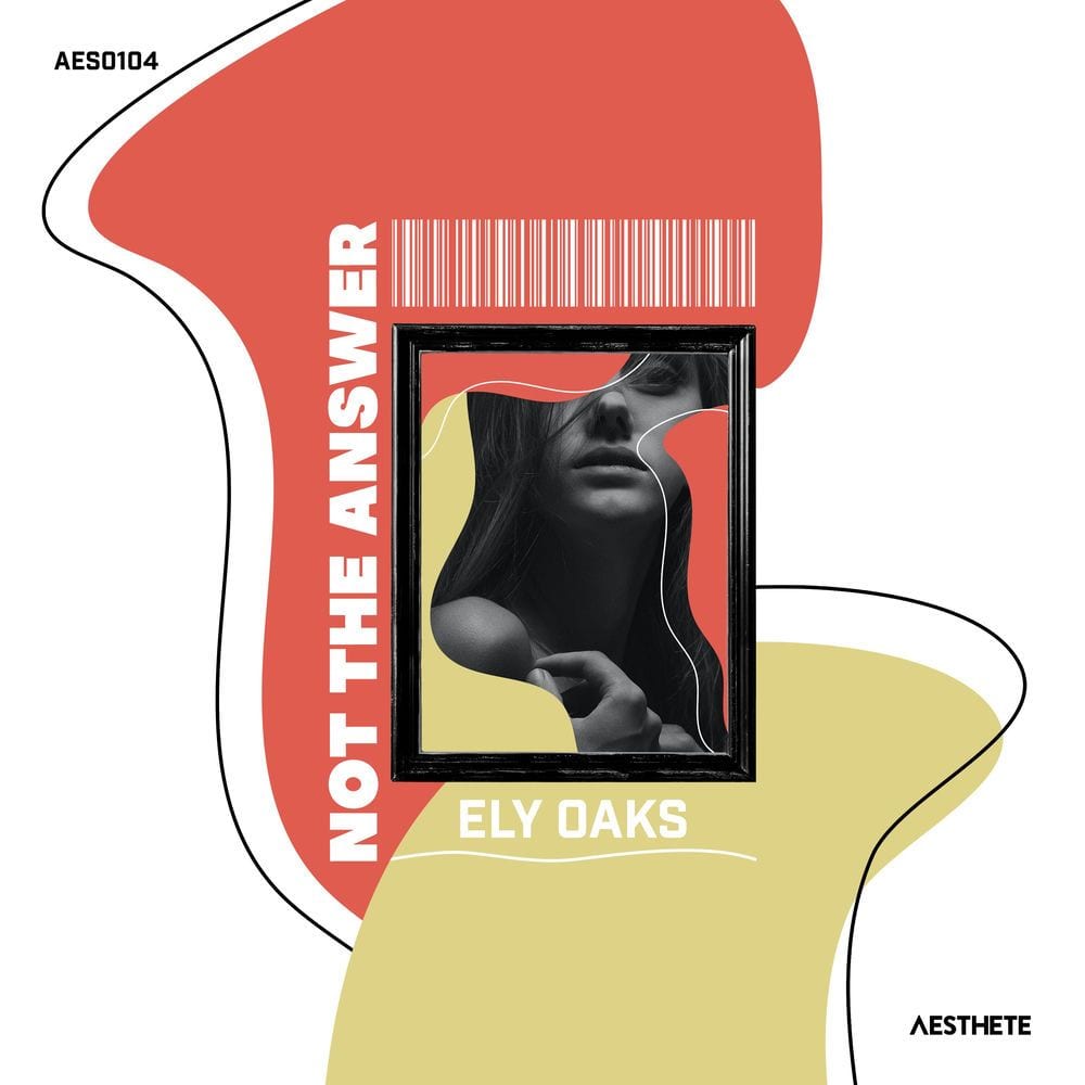 Not The Answer cover