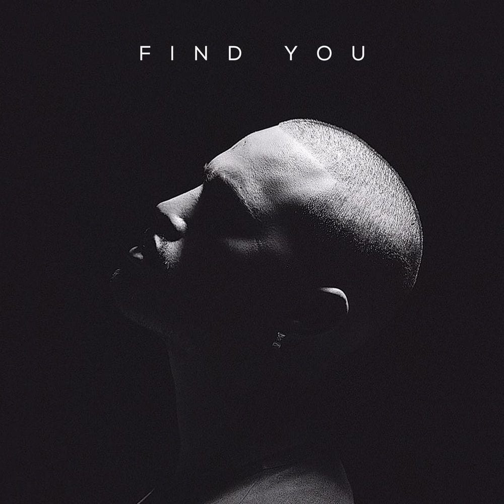 Find You (The Stolen) cover