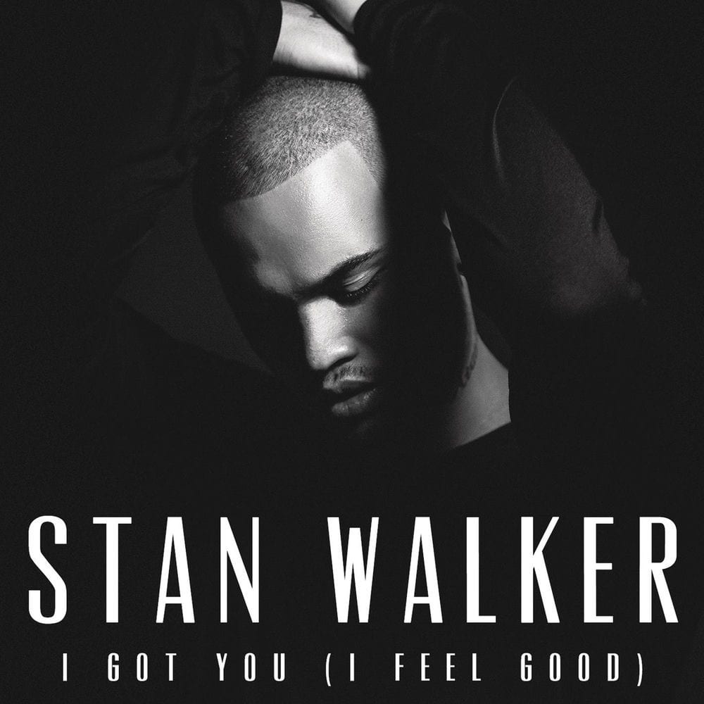 I Got You (I Feel Good) cover