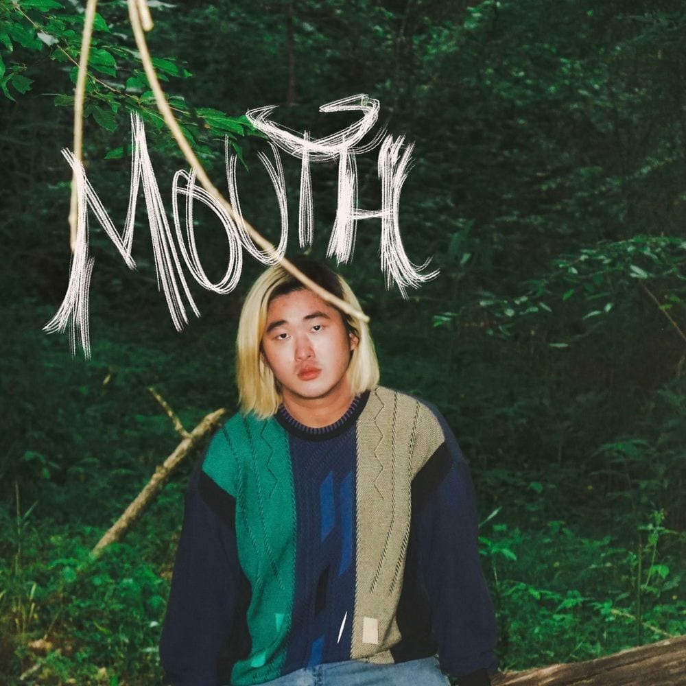 mouth cover