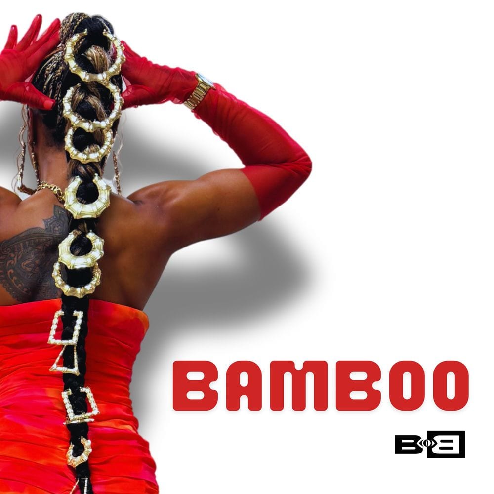 Bamboo cover