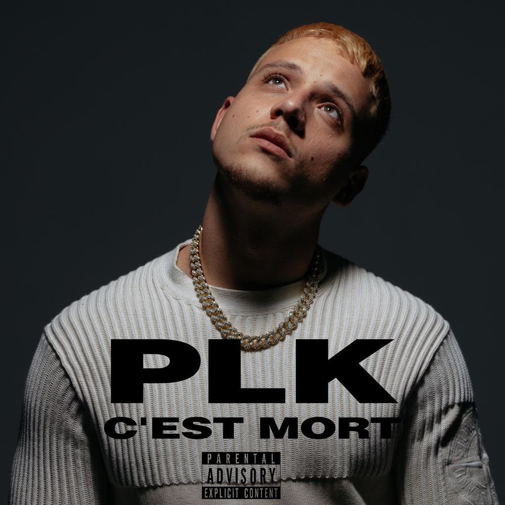 C'est mort cover