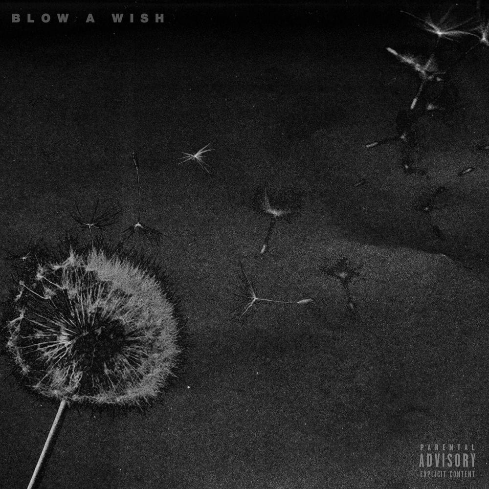 Blow A Wish cover