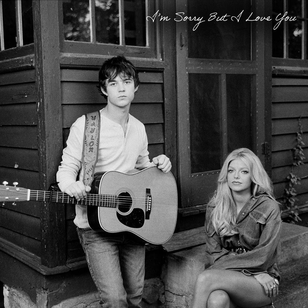 I'm Sorry But I Love You cover