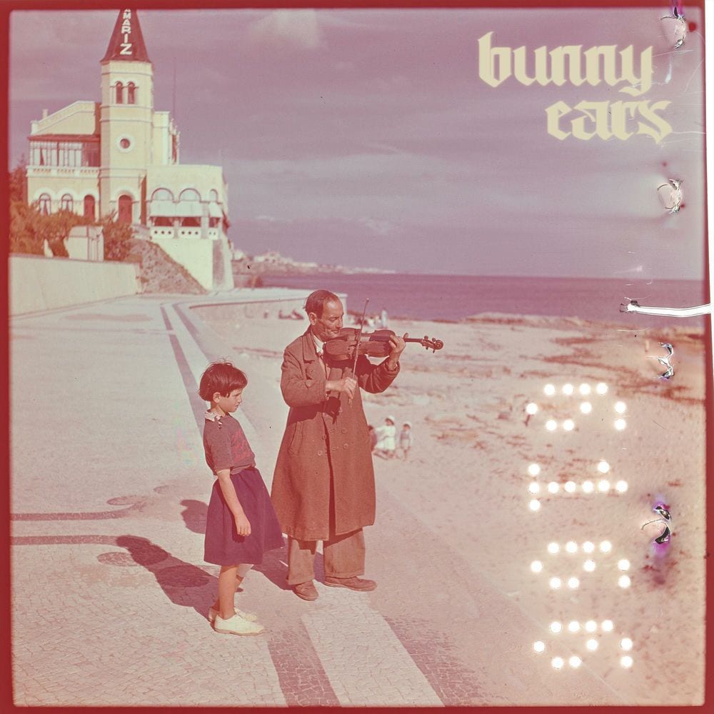 bunny ears cover