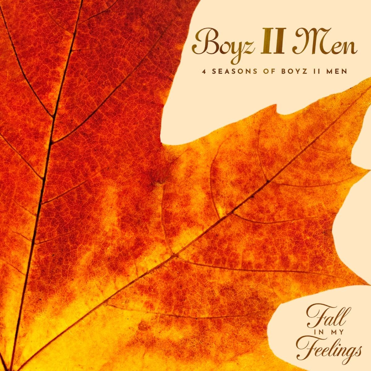 4 Seasons of Boyz II Men: Fall In My Feelings cover