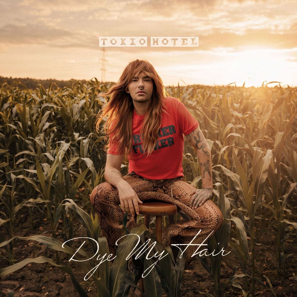 Dye My Hair cover