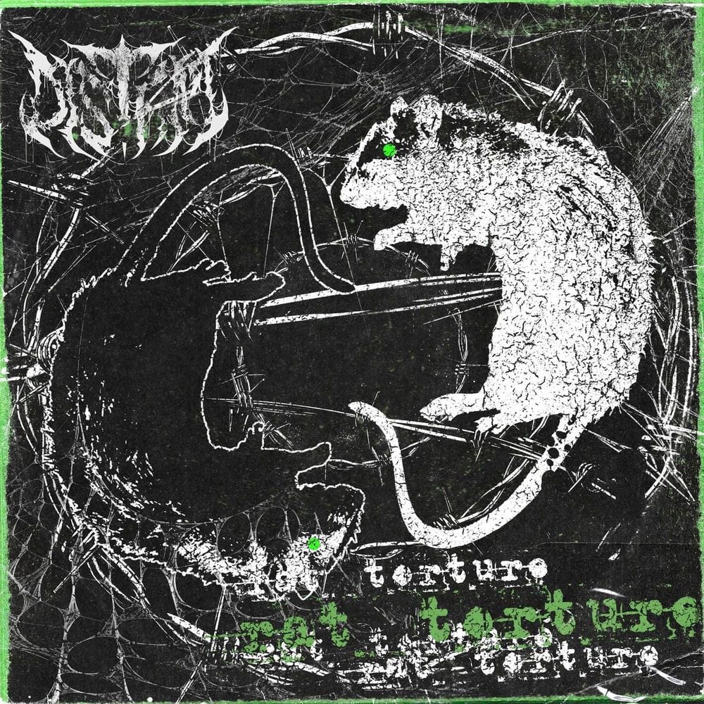 Rat Torture cover