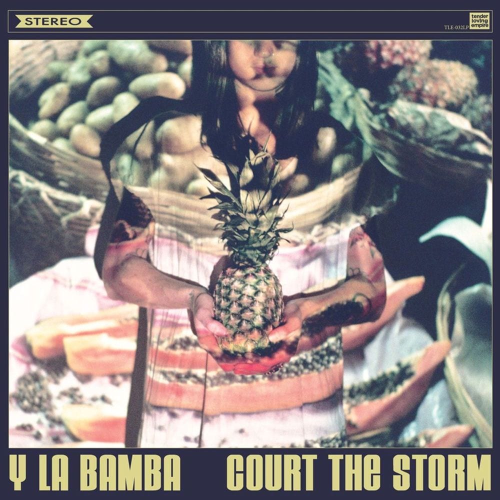 Court the Storm cover