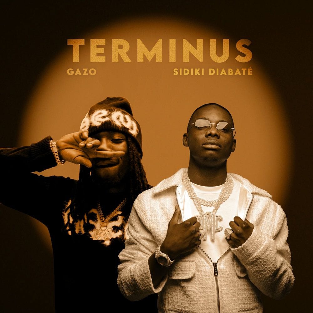 Terminus cover