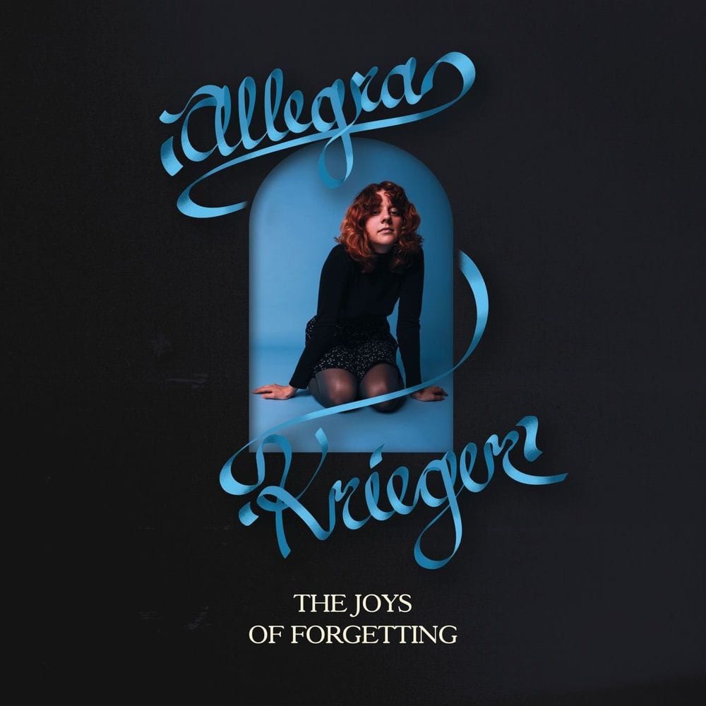 The Joys Of Forgetting cover