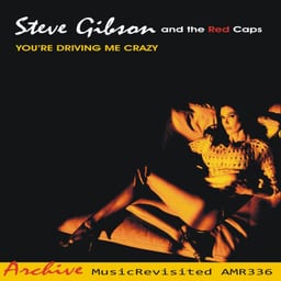 You're Driving Me Crazy album cover