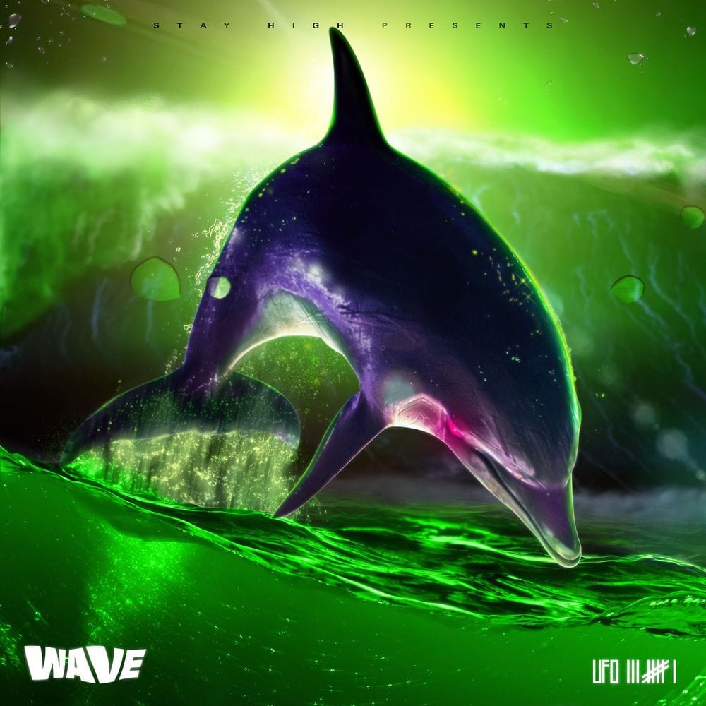 WAVE cover