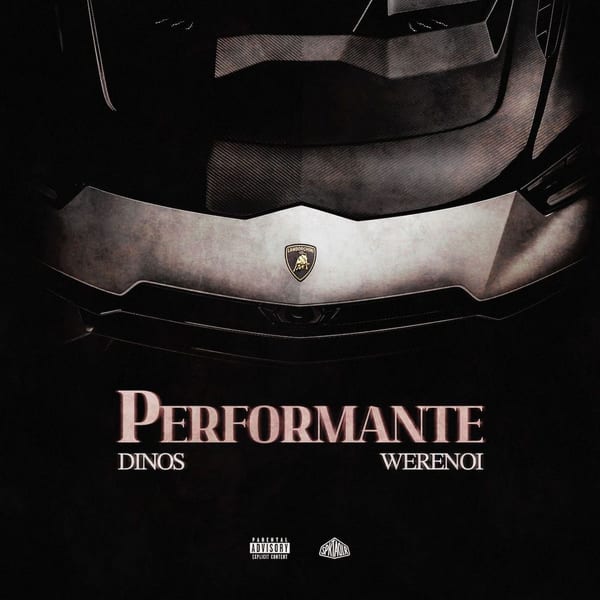 PERFORMANTE cover