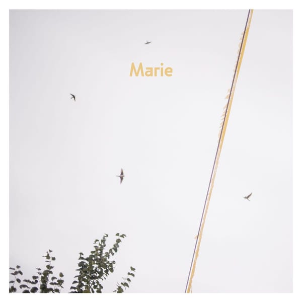 Marie cover