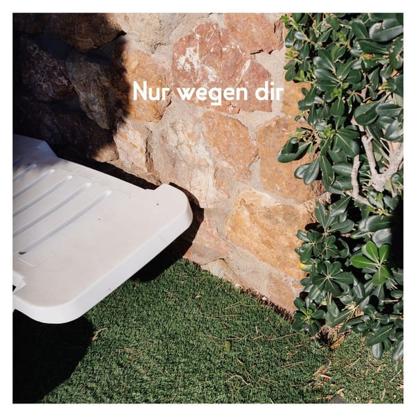 Nur wegen dir album cover