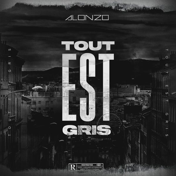 FREESTYLE TOUT EST GRIS cover