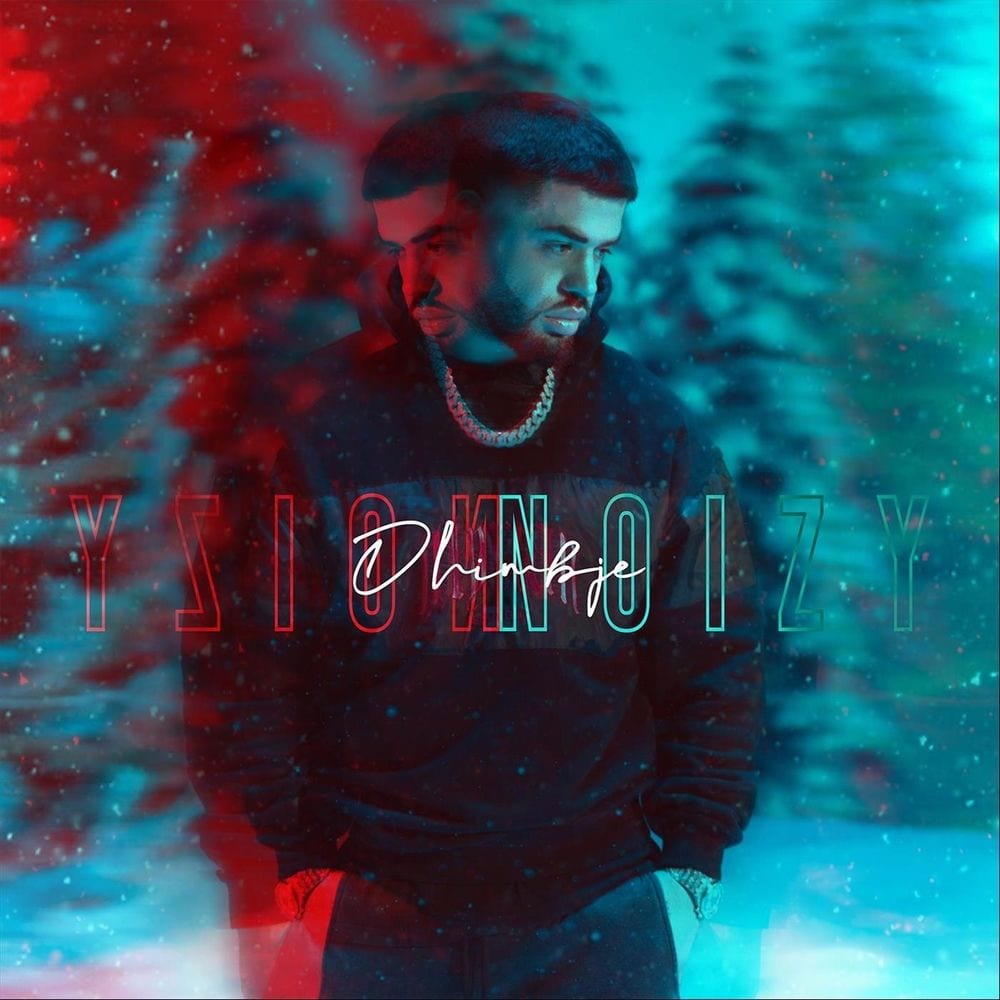 Dhimbje cover