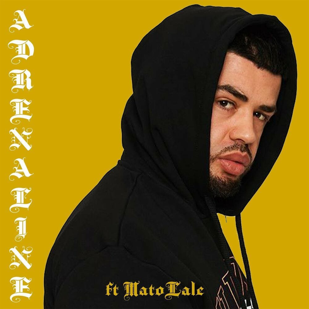 Noizy ft. Matolale - Adrenaline cover