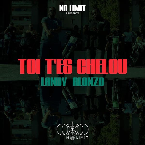 Toi t'es chelou cover
