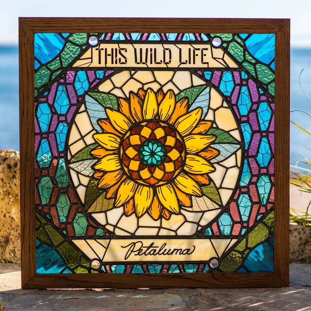 Petaluma cover