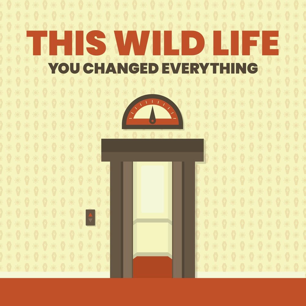 You Changed Everything (Single) cover