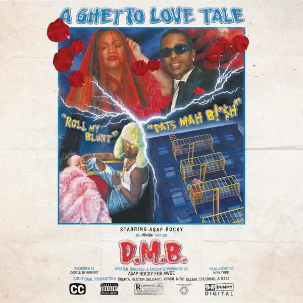 D.M.B. cover
