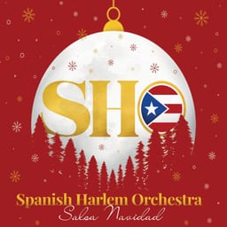 Salsa Navidad album cover
