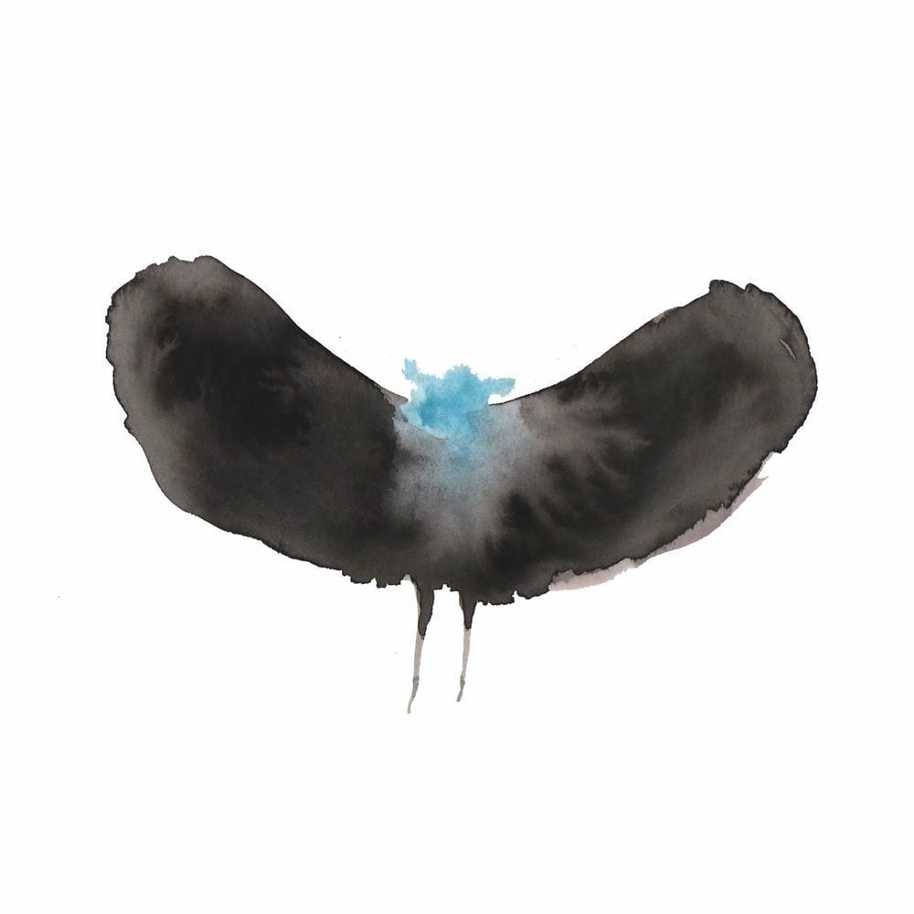 HAYWARDxDÄLEK cover