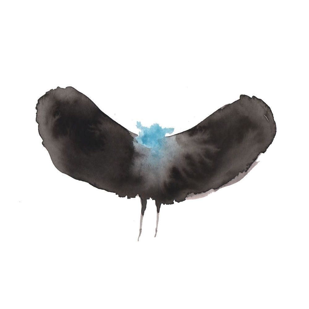 Re-Evolution cover