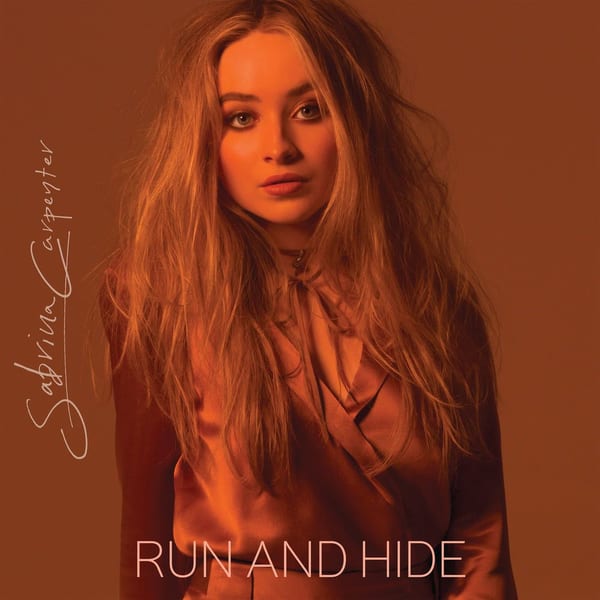 Run and Hide cover
