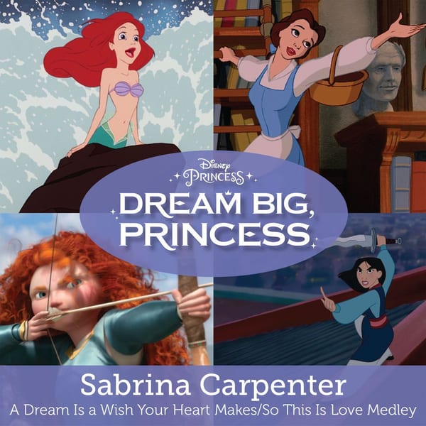 A Dream Is a Wish Your Heart Makes/So This Is Love cover