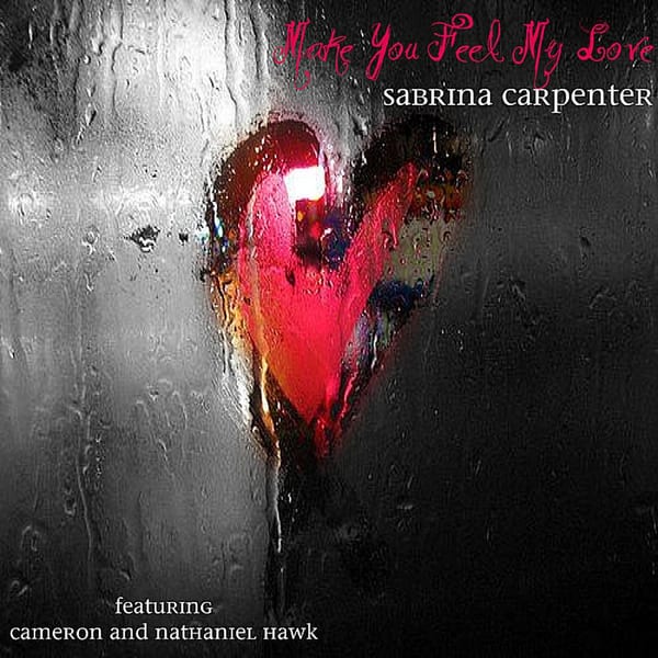 Make You Feel My Love cover