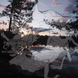 Det hjemsøkte hjertet album cover
