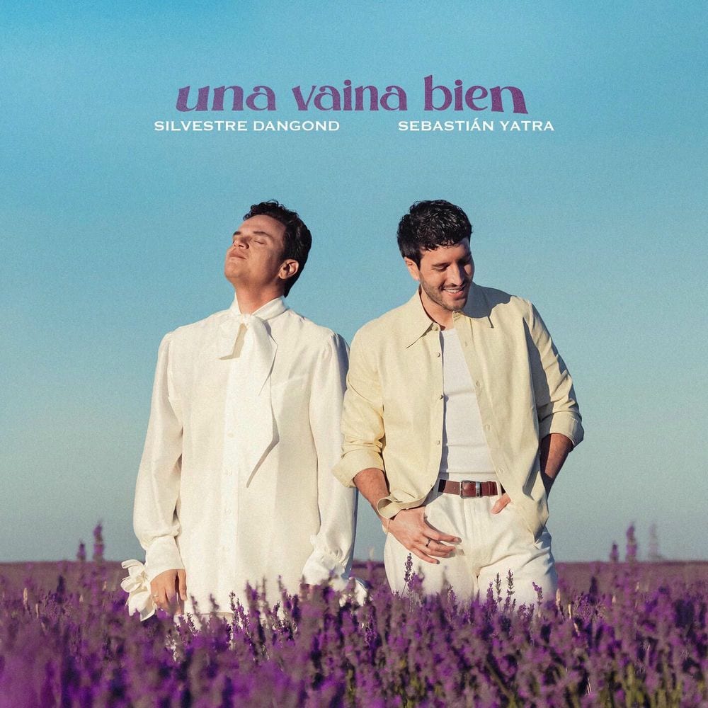 Una Vaina Bien cover