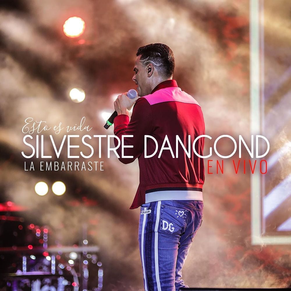 La Embarraste (En Vivo) cover