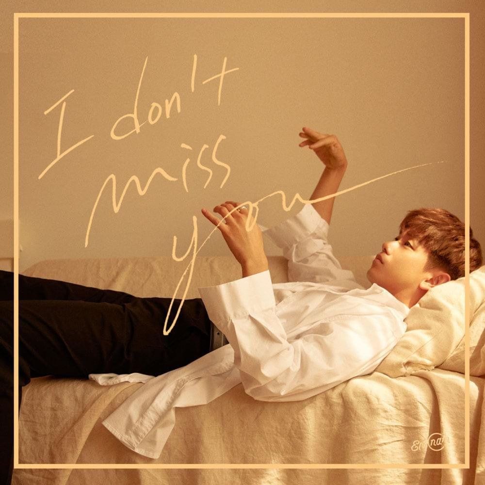 I Don′t Miss You cover