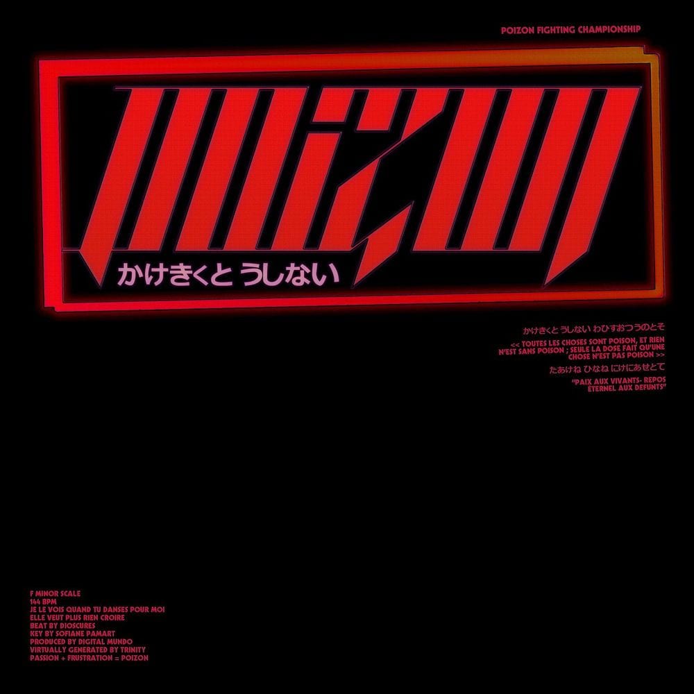 POIZON cover