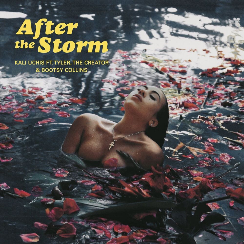 After the Storm cover