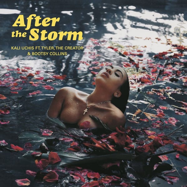 After the Storm cover