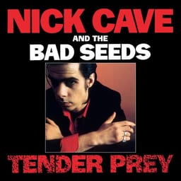 Tender Prey album cover