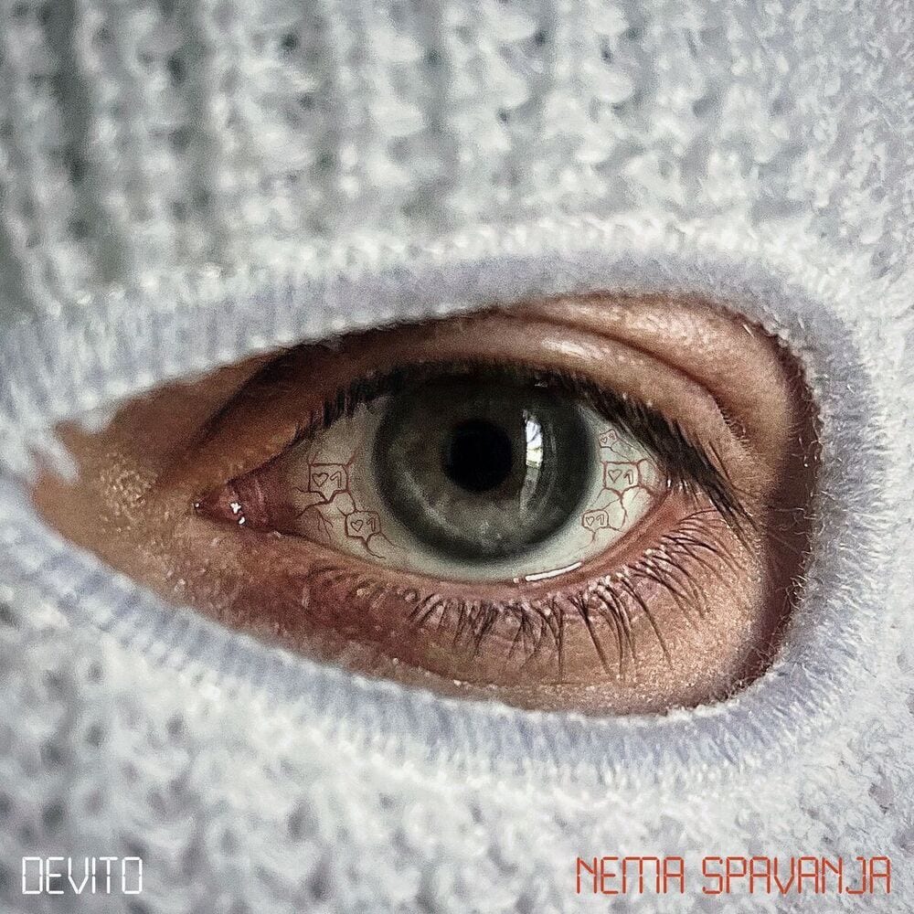 NEMA SPAVANJA cover