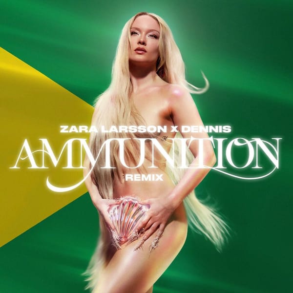 Ammunition (DENNIS Remix) cover
