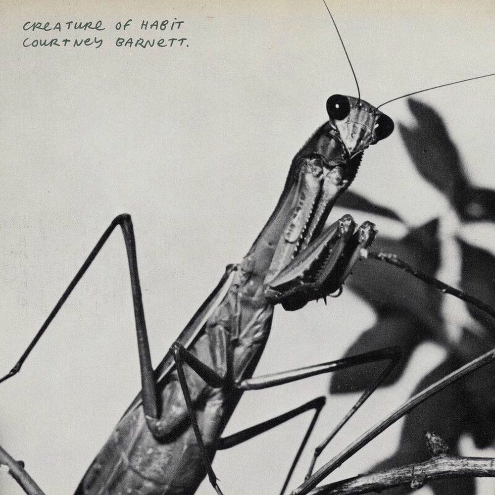 Creature of Habit cover