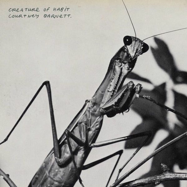 Creature of Habit cover
