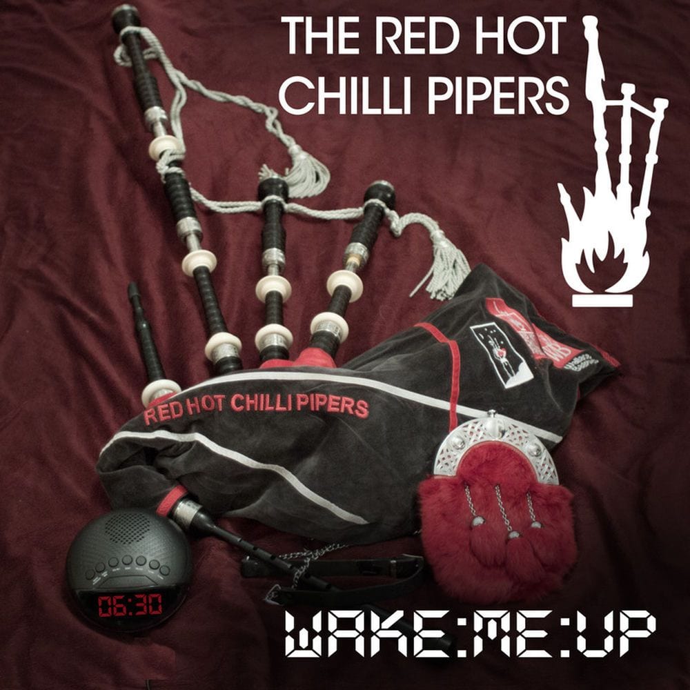 Wake Me Up cover