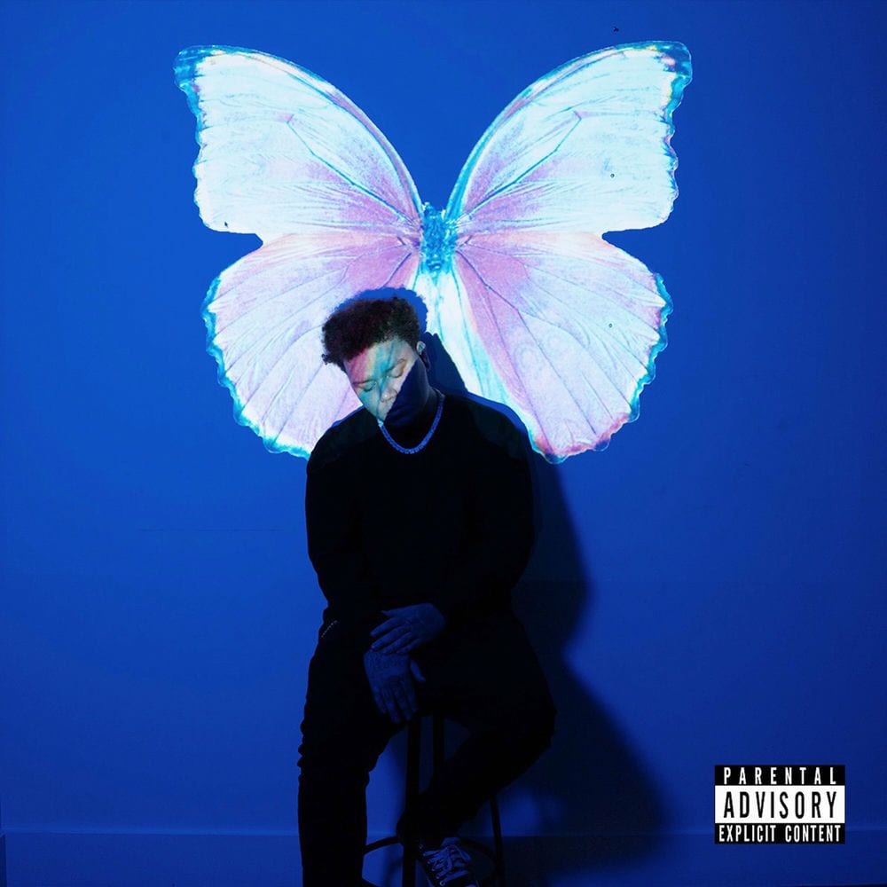 The Butterfly Effect cover