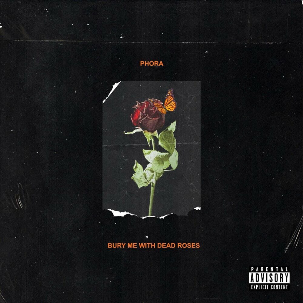 Bury Me With Dead Roses cover