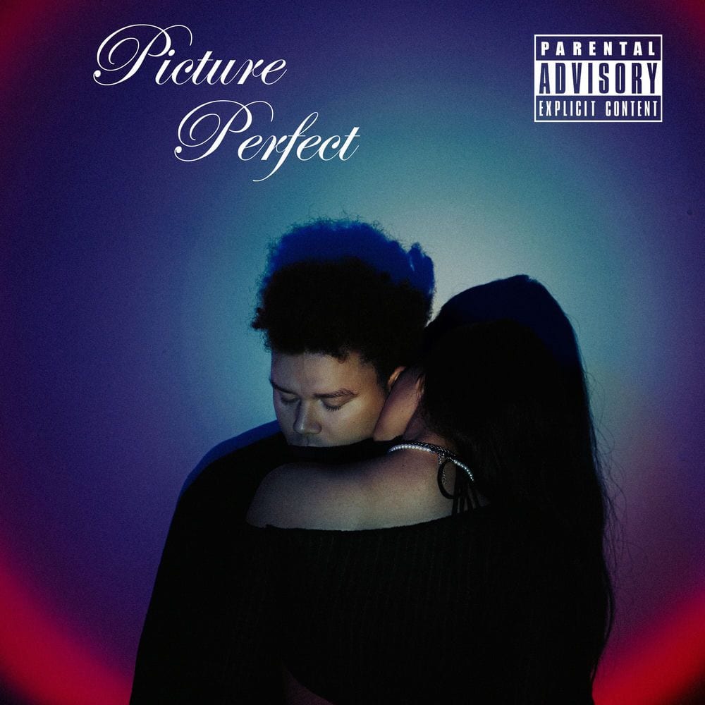Picture Perfect cover